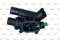 Thermostat, coolant
