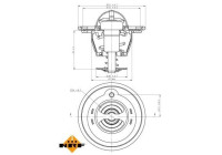 Thermostat, coolant