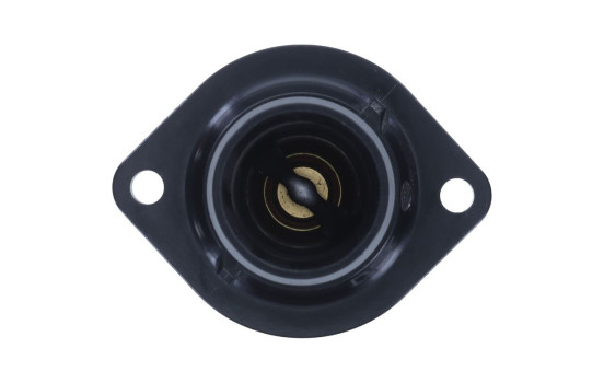 Thermostat, coolant, Image 4