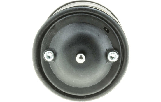 Thermostat, coolant, Image 4