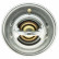 Thermostat, coolant