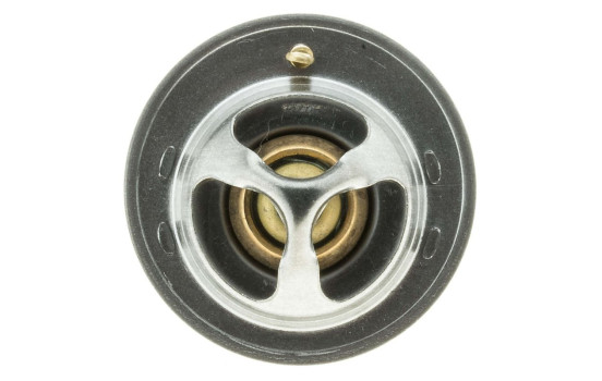 Thermostat, coolant, Image 4