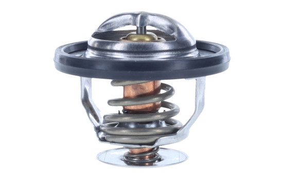 Thermostat, coolant, Image 5