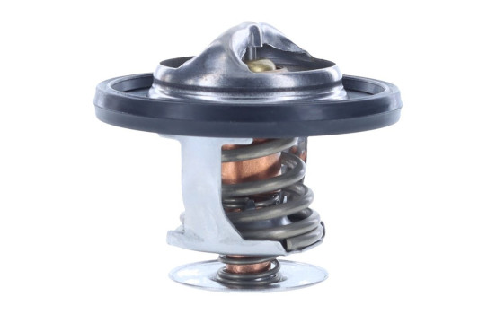 Thermostat, coolant, Image 7