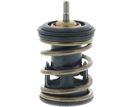 Thermostat, coolant, Image 6