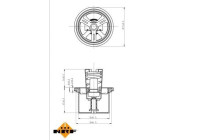 Thermostat, coolant