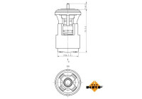 Thermostat, coolant