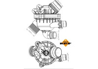 Thermostat, coolant