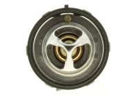 Thermostat, coolant