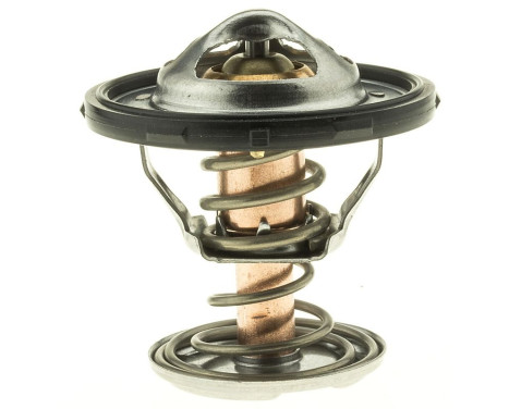 Thermostat, coolant, Image 2