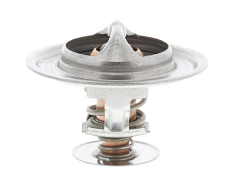 Thermostat, coolant, Image 5