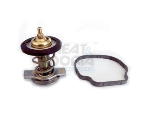 Thermostat, coolant