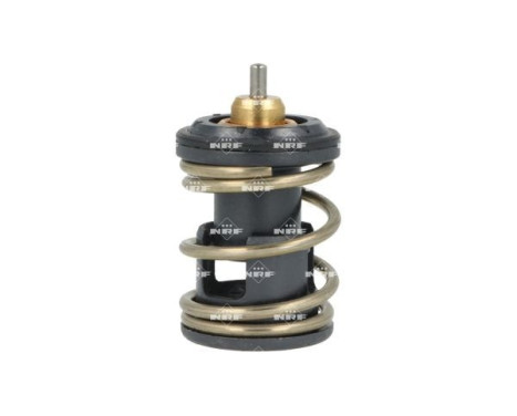 Thermostat, coolant, Image 3