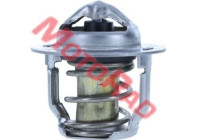 Thermostat, coolant