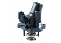 Thermostat, coolant