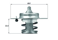 Thermostat, coolant