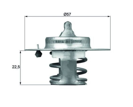 Thermostat, coolant