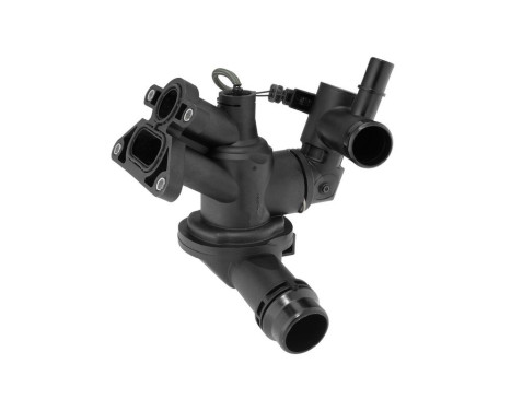 Thermostat, coolant