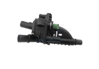 Thermostat, coolant