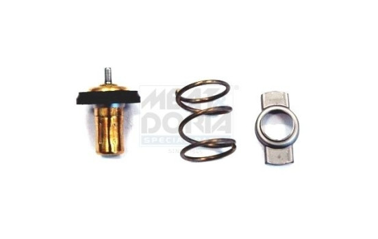 Thermostat, coolant
