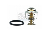 Thermostat, coolant
