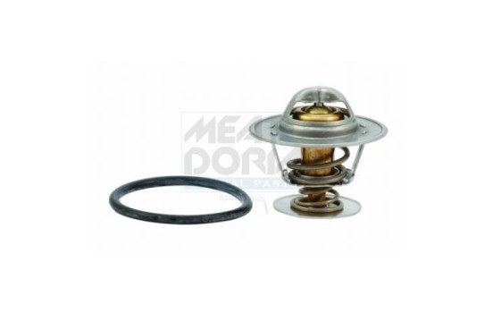 Thermostat, coolant