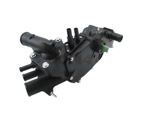 Thermostat, coolant