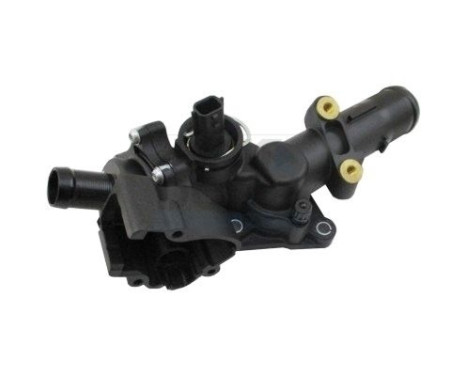 Thermostat, coolant