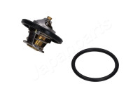 Thermostat, coolant