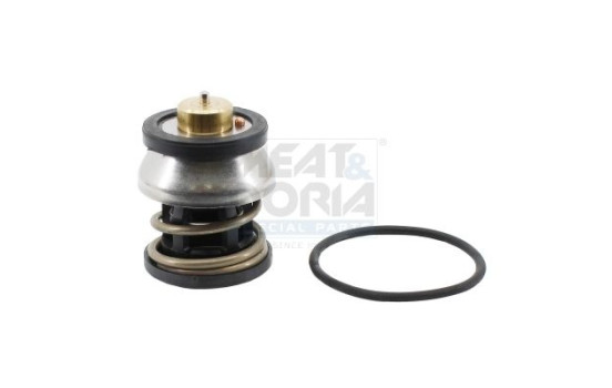 Thermostat, coolant