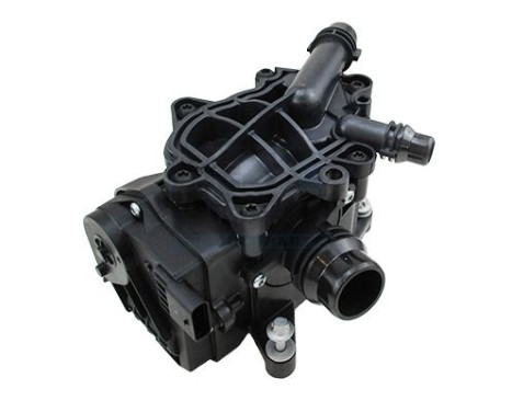 Thermostat, coolant