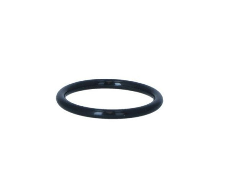 Thermostat, coolant, Image 5