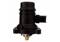 Thermostat, coolant