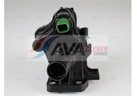 Thermostat, coolant
