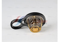 Thermostat, coolant