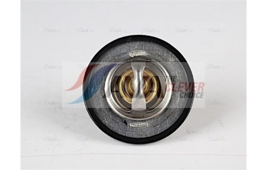 Thermostat, coolant, Image 2
