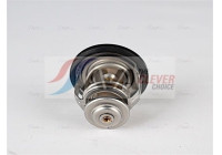Thermostat, coolant