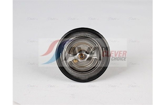 Thermostat, coolant, Image 2