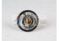 Thermostat, coolant