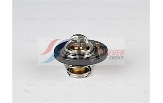 Thermostat, coolant, Image 5