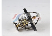 Thermostat, coolant