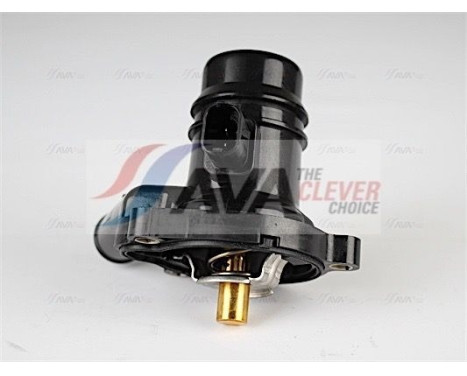Thermostat, coolant