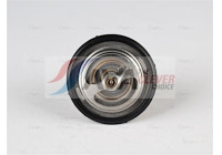 Thermostat, coolant