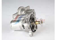 Thermostat, coolant