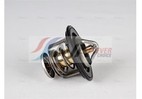Thermostat, coolant