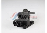 Thermostat, coolant