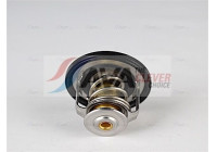 Thermostat, coolant