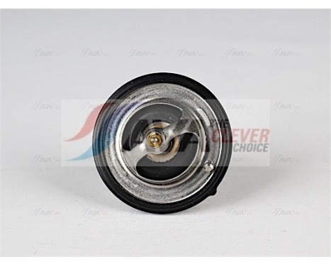 Thermostat, coolant, Image 2