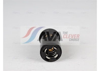 Thermostat, coolant
