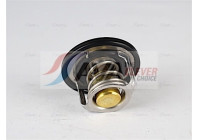 Thermostat, coolant